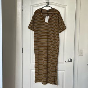 Fabulous Balck & Tan long see-through Zara Dress sz Large NWT